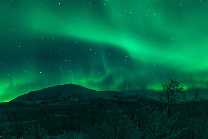 Northern Lights Tour from Kiruna to Abisko with Dinner - Campfire, hot drinks, and Arctic cold