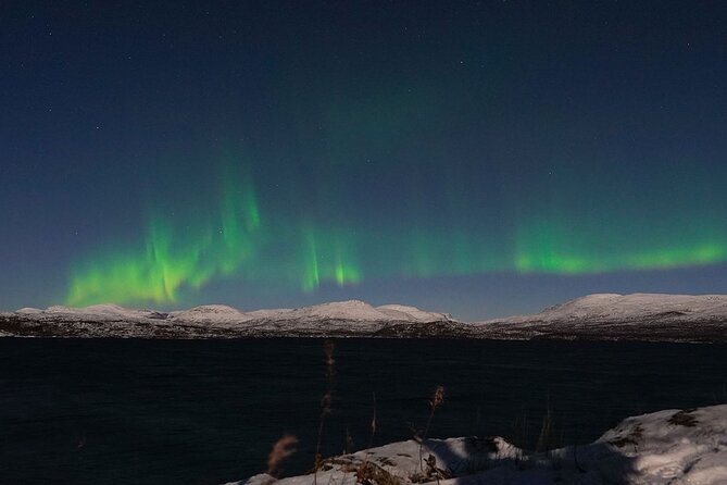 Northern Lights Tour from Kiruna to Abisko with Dinner - What the price of $278.79 really covers