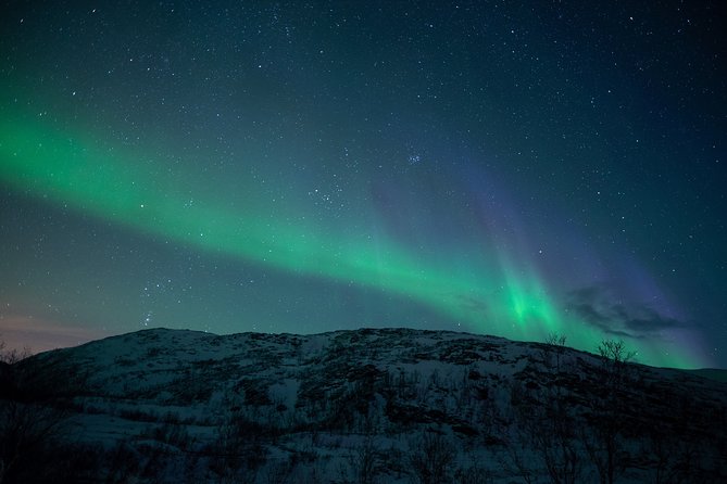 Northern Lights Tour from Kiruna to Abisko with Dinner - Who should book this aurora tour