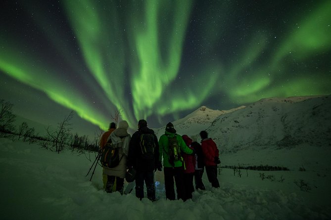 Northern Lights Tour from Tromsø - What the guide adds to the night