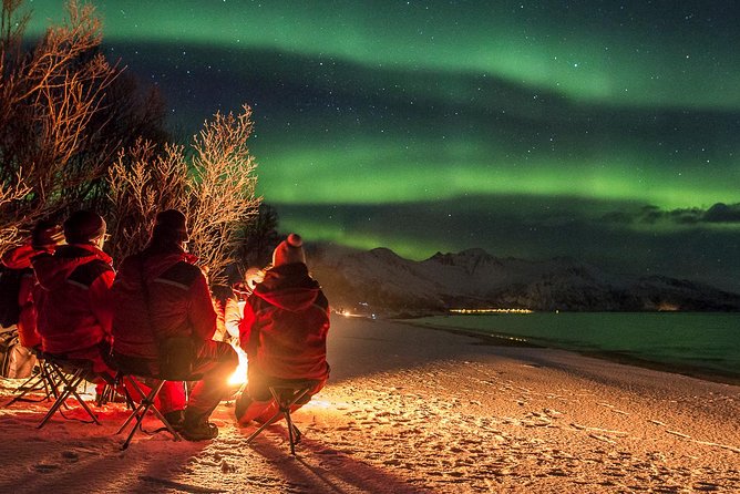 Northern Lights Tour from Tromsø - What the $259.11 price gets you
