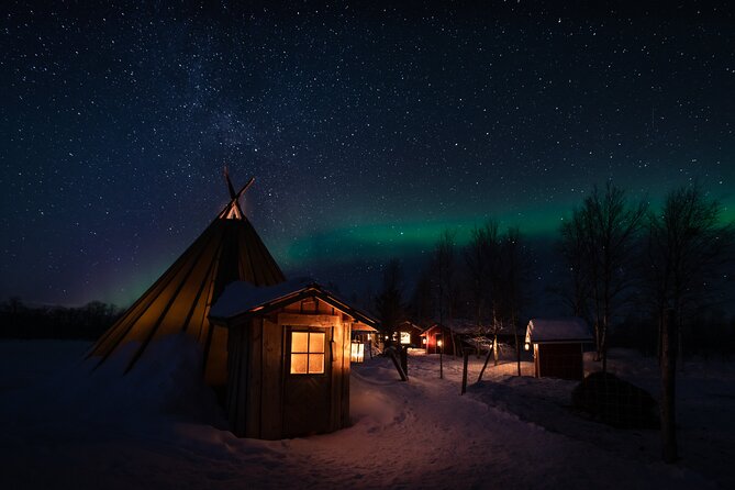 Northern lights tour to Lake Inari from Ivalo, Reindeers & Dinner - Meeting the reindeer on the island