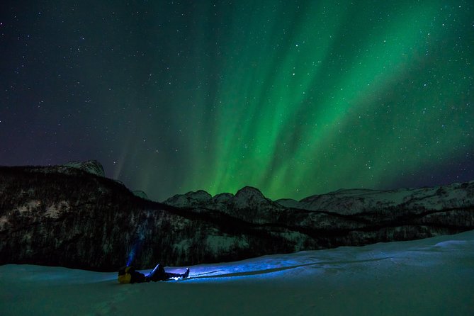 Northern Lights tour with Alta Adventure - The value of $235.37 per person