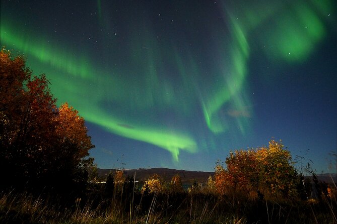 Northern Lights tour with Alta Adventure - Who should choose this tour