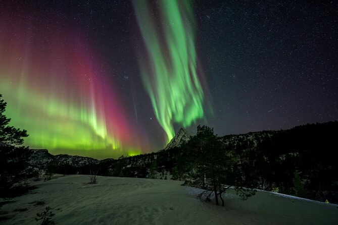 Northern Lights Tours Bodo Norway - Guide Ivar and the value of a flexible driver