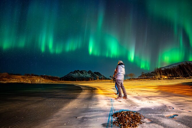 Northern Lights Tours Bodo Norway - The price and what you receive for $223.73