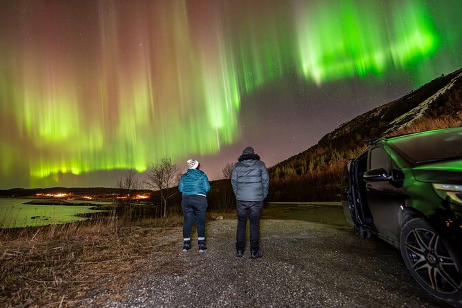 Northern Lights Tours Bodo Norway - Who will enjoy this tour most