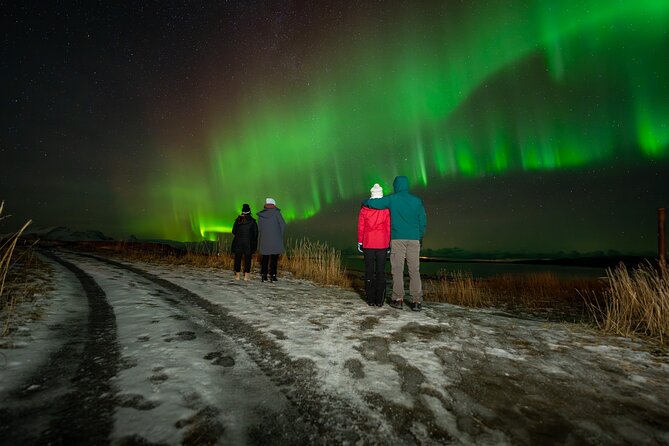 Northern Lights Tours Bodo Norway - What happens at 7 pm in Bodø
