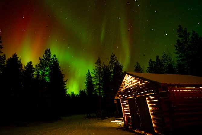 Northern Lights Trip to a Magical Place in Lapland - What the $119.09 price includes in practical terms