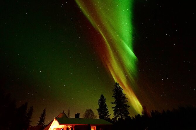 Northern Lights Trip to a Magical Place in Lapland - Leaving the city at 7:00 pm