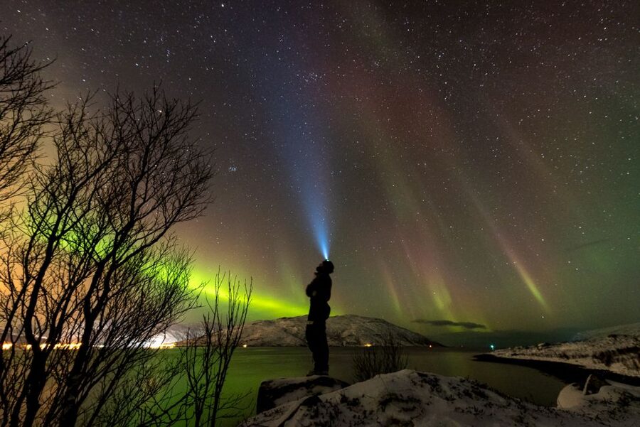 Northern lights Tromsø - small group tour with local guide - Key points at a glance