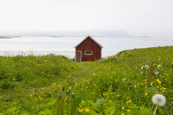 Norway Lofoten Private Shore Excursion from Leknes - Key points to know before booking