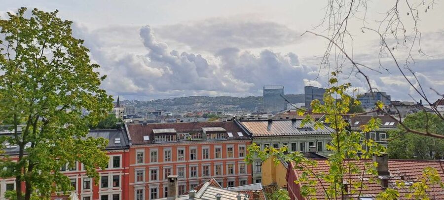 Norwegian Food Tour & Hidden Gems of Oslo - Why this food walk is different from a standard city tour