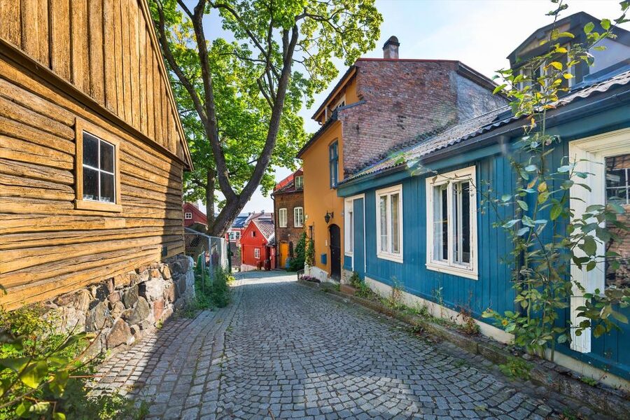 Norwegian Food Tour & Hidden Gems of Oslo - First tasting: creamy fish soup