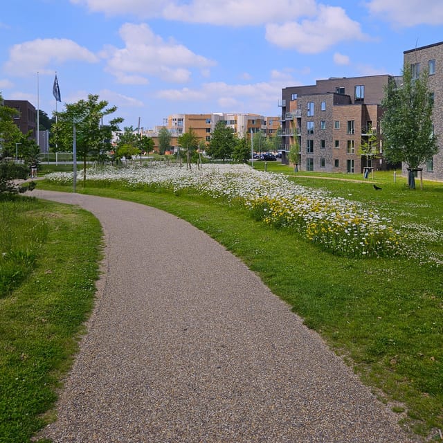 Odense: City walk - The new green Odense - City development - The Port of Odense and the city’s modern face