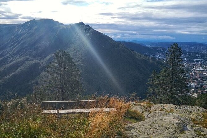 On Top of Bergen - Private Hike - Walking the forests and Vidden Tursti