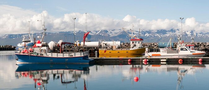 Original Big Whale Safari & Puffins Speedboat Tour from Húsavík - A fast start from Húsavík into Skjálfandi Bay
