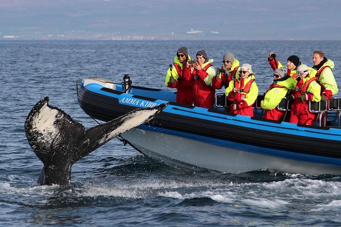 Original Big Whale Safari & Puffins Speedboat Tour from Húsavík - Cold weather, safety gear, and the RIB ride