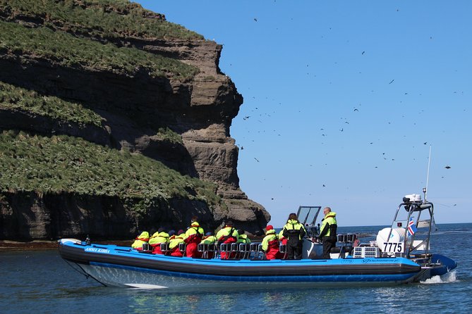 Original Big Whale Safari & Puffins Speedboat Tour from Húsavík - The guides make the difference