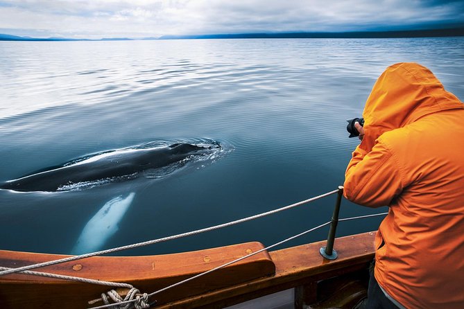 Original Carbon Neutral Whale Watching Tour from Húsavík - Key points to know before sailing