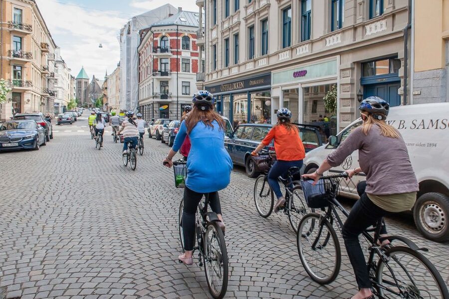 Oslo: 3-Hour Highlights Bike Tour - Pace, Cycling Conditions, and Seasonal Changes