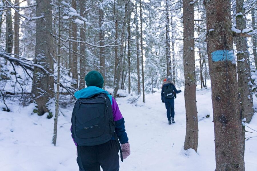 Oslo: Best View of the Oslofjord Winter Edition - Practical advice for a smoother winter outing