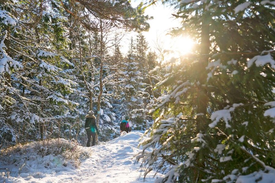 Oslo: Best View of the Oslofjord Winter Edition - Vettakollen gives you the big Oslo view