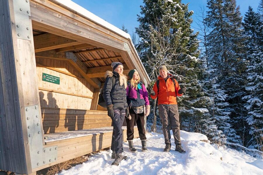 Oslo: Best View of the Oslofjord Winter Edition - Who will enjoy this walk most