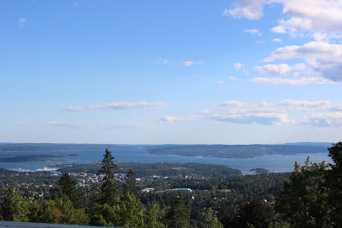 Oslo City Highlights with Fjord Cruise - Oslofjord by electric boat
