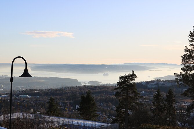 Oslo City Highlights with Fjord Cruise - The guides can make the land portion memorable