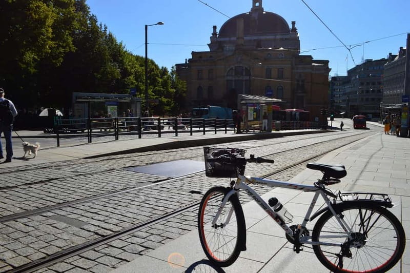 Oslo El-Bike Panorama Tour - The Royal Palace and central Oslo