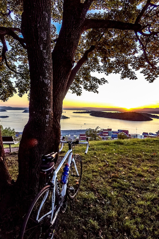 Oslo El-Bike Panorama Tour - Vigeland Park and Oslo’s public art