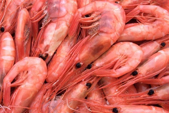 Oslo Fjord Evening Cruise with Shrimp Buffet on a Sailing Ship - Should you book the Oslofjord shrimp cruise?