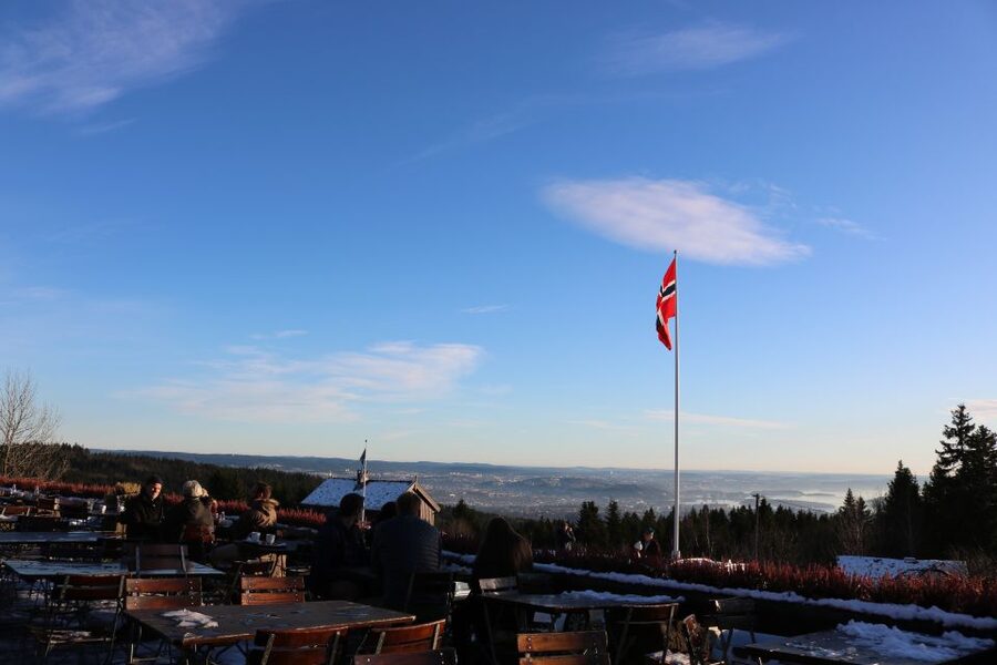 Oslo: Guided Oslo Highlights Tour by bus & Oslofjord cruise - Should you book it?