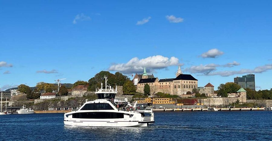 Oslo: Guided Oslo Highlights Tour by bus & Oslofjord cruise - Vigeland Sculpture Park: the tour’s cultural centerpiece