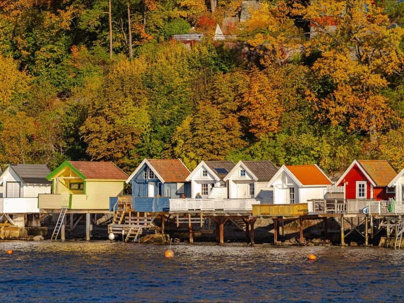 Oslo: Guided Sightseeing Fjord Cruise on Premium Silent Boat - Dyna Lighthouse and Oslo’s working water