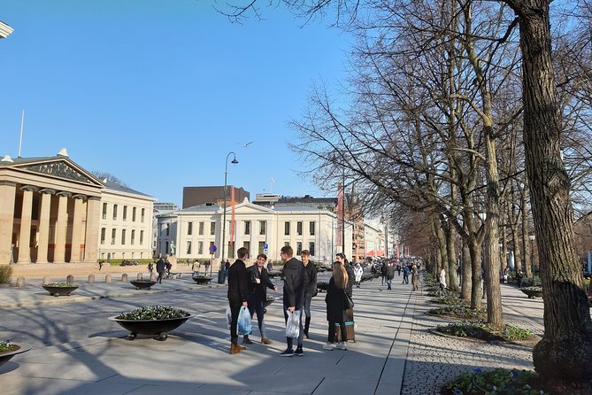 Oslo Highlights. Best Private Walking Tour of Oslo with a Local Guide. - Oslo in four hours, with room to change course