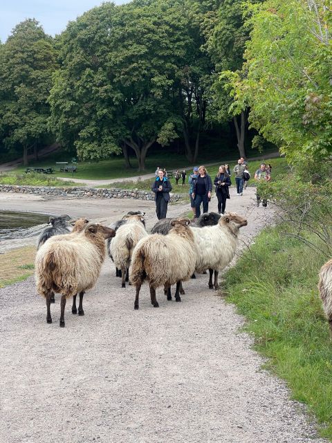 Oslo Island Walks: Island Hopping Tour - Five things to know before you book