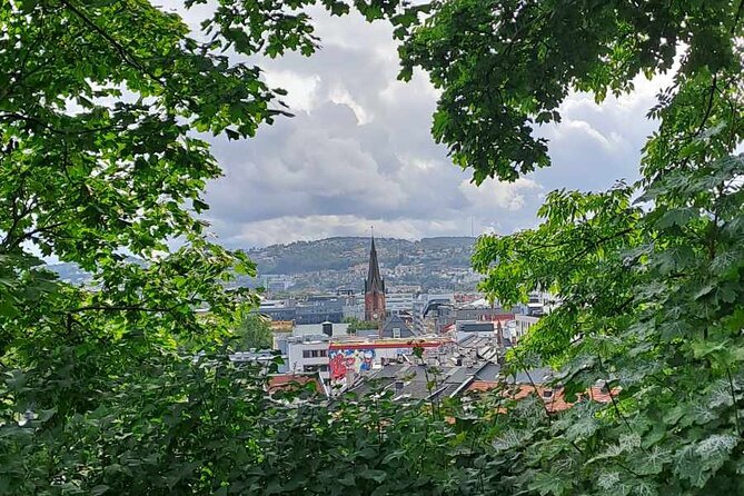 Oslo: Norwegian Food Tour & Hidden Gems City Walk - What the $172.63 price really covers