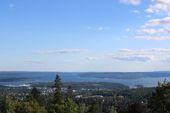 Oslo Panorama Tour with Holmenkollen Ski Jump and Vigeland Park - Meeting in central Oslo at 10:00 a.m.