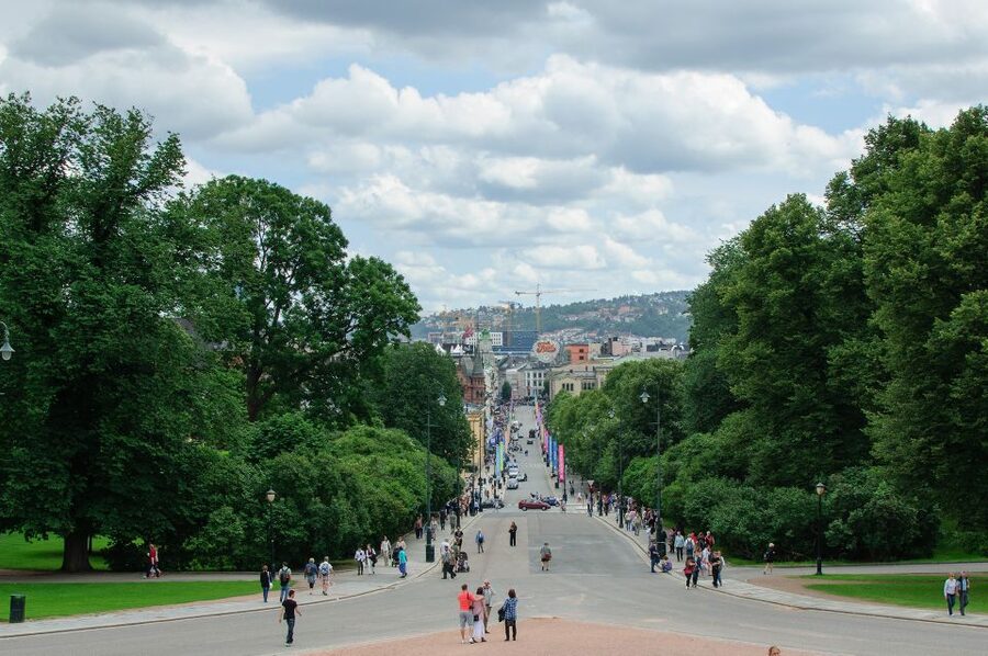 Oslo: Private City Center Highlights Guided Walking Tour - Language, pickup, and meeting details