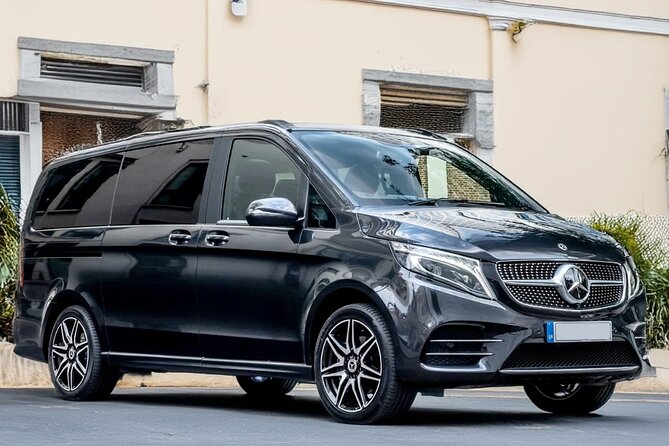 Oslo Private Transfer Between Gardermoen Airport and City - Who should book this private transfer?