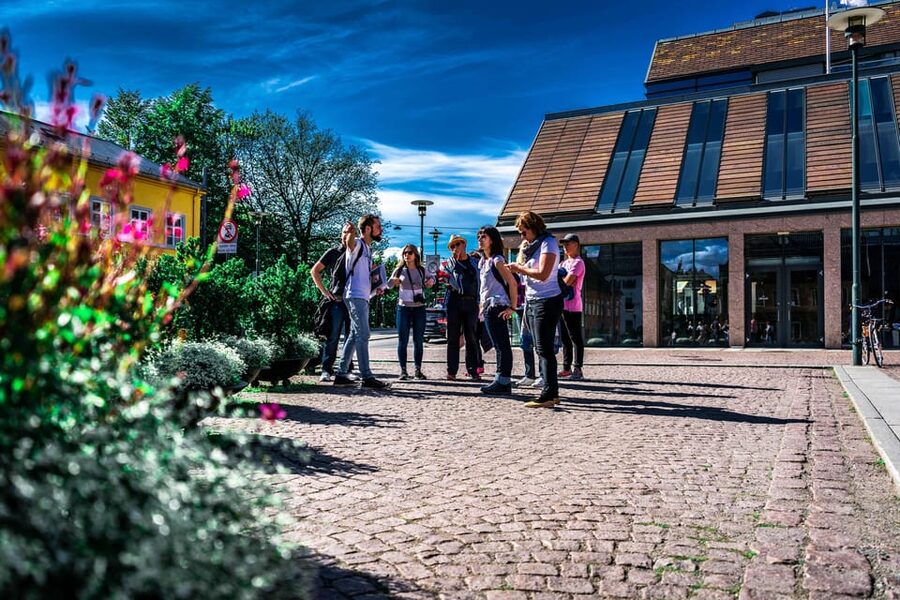 Oslo: Private Walking Tour - Why this short walk works as an Oslo introduction