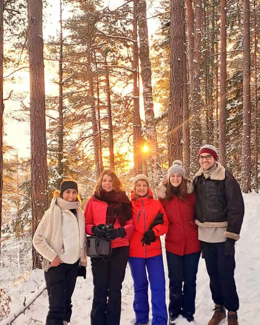 Oslo: Scenic Forest Hike with Dog & Local Guide - Key Points