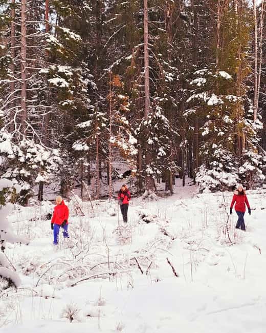 Oslo: Scenic Forest Hike with Dog & Local Guide - Who Will Enjoy This Best?