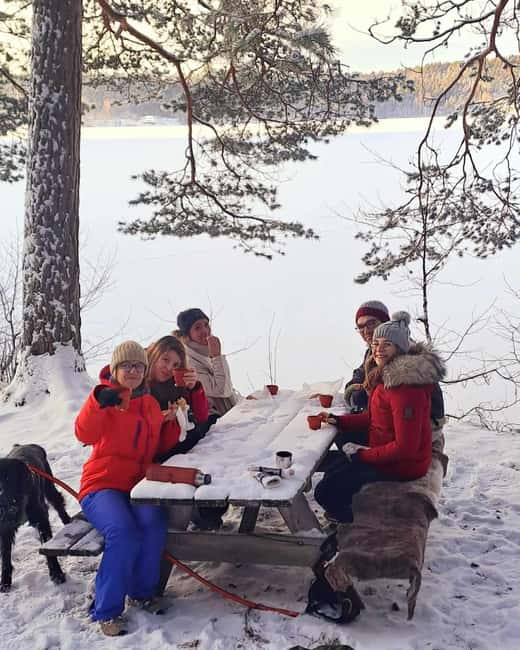 Oslo: Scenic Forest Hike with Dog & Local Guide - From Kolbotn to the 153-Meter Viewpoint