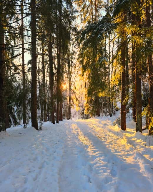 Oslo: Scenic Forest Hike with Dog & Local Guide - How Fit Do You Need to Be?