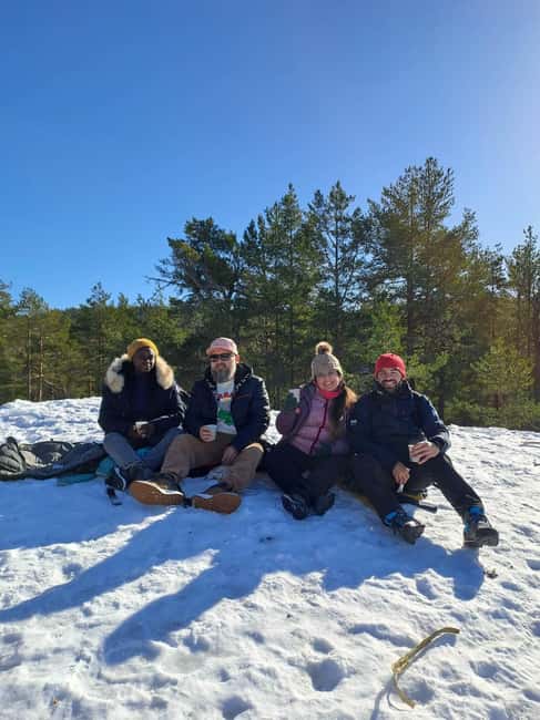 Oslo: Scenic Forest Hike with Dog & Local Guide - The 20-Minute Train Ride to Kolbotn