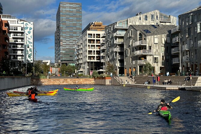 Oslo Sea Kayak Tour: Explore The Incredible Oslofjord - Aker Brygge and the harbor activity