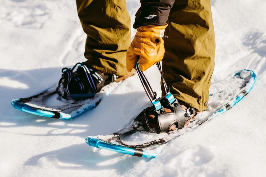 Oslo: Snowshoeing in the Forest with Norwegian BBQ - Key points to know before you book